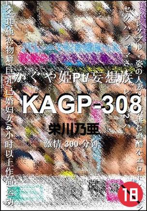 KAGP-308300 