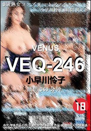 VEQ-246360 