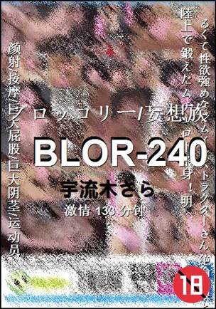 BLOR-240133 