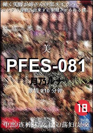 PFES-081210 