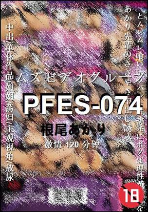 PFES-074120 