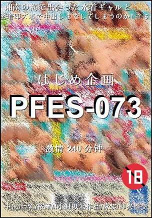 PFES-073240 