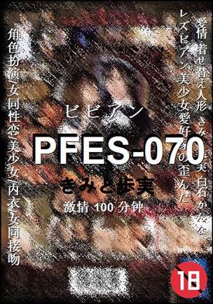 PFES-070100 