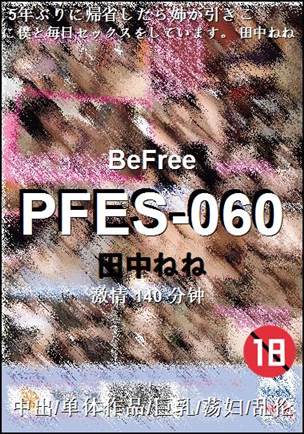 PFES-060140 