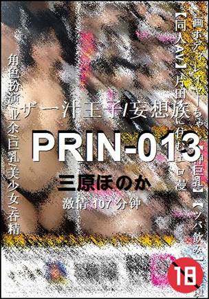 PRIN-013107 