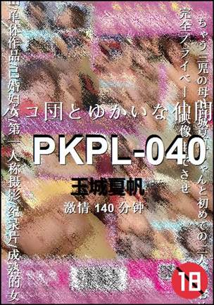 PKPL-040140 