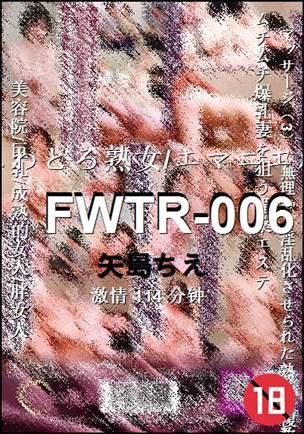 FWTR-006114 分钟