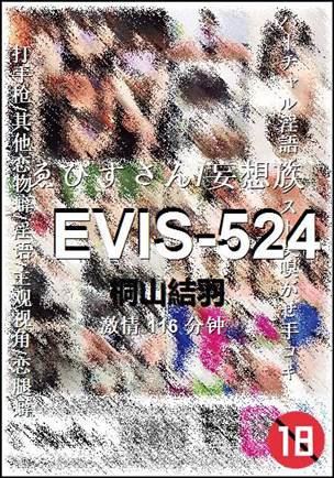 EVIS-524116 分钟