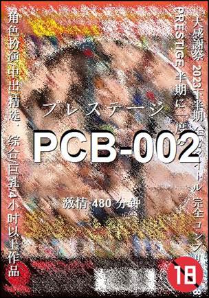 PCB-002480 