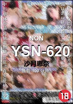 YSN-620100 