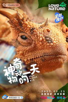 涯һһ8