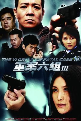 重案六组336集