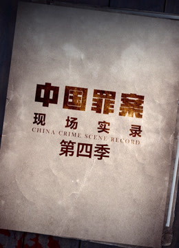 罪案现场实录第四季12集