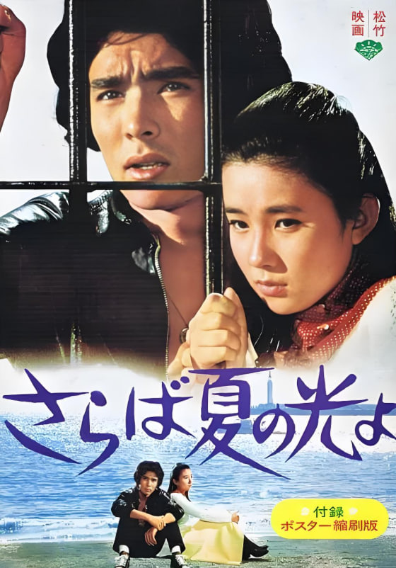 再见,夏日之光正片