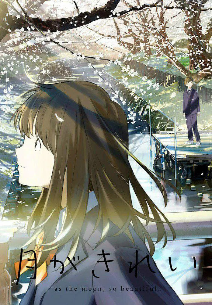 月色真美12集